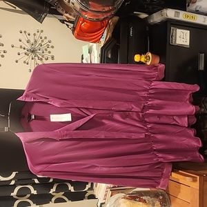 Nwt magenta Ann Taylor blouse
